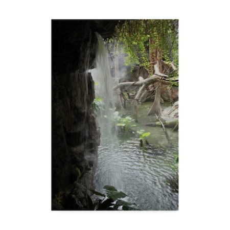 Robert Michaud 'Waterfall' Canvas Art,12x19